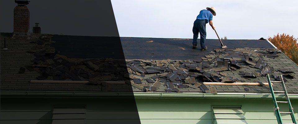 Forestville Roofing Contractors