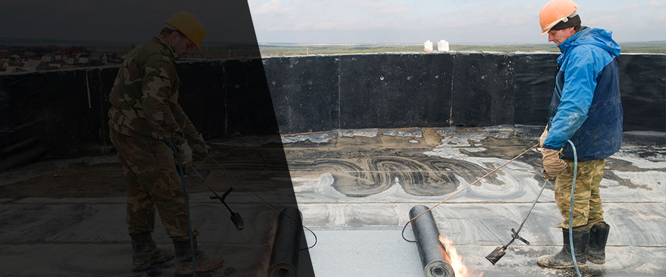 Forestville Roofing Contractors
